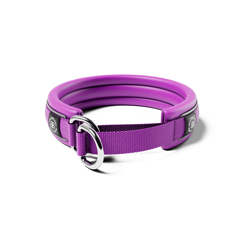 3cm Slip on Collar | Foam Padded - Purple