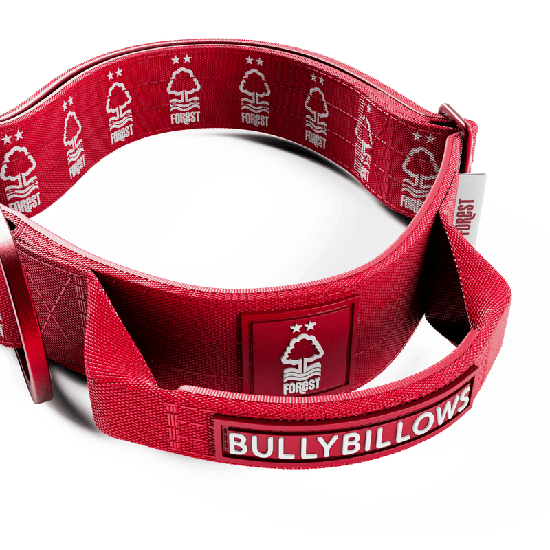 4cm LIGHTER Combat® Collar | Handle Rated Clip - Nottingham Forest