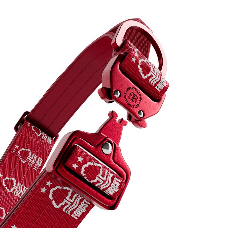 4cm LIGHTER Combat® Collar | Handle Rated Clip - Nottingham Forest