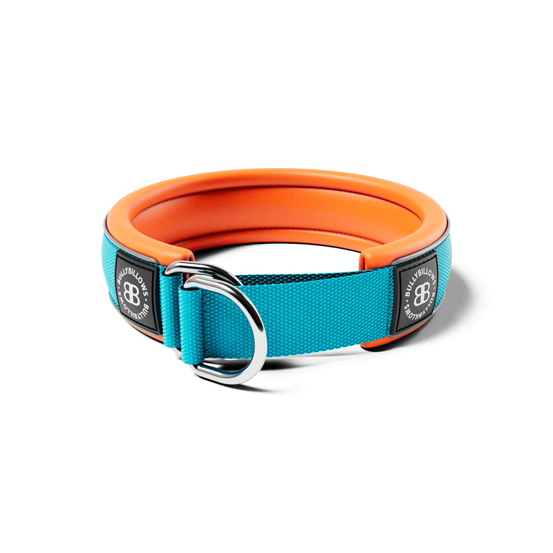 4cm Slip on Collar | Foam Padded - Light Blue x Orange