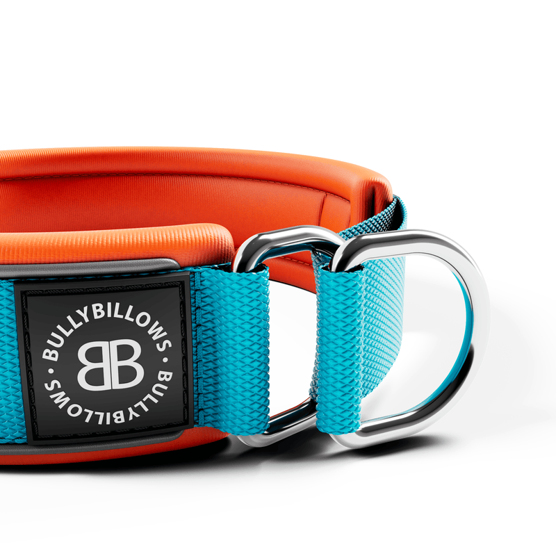 4cm Slip on Collar | Foam Padded - Light Blue x Orange