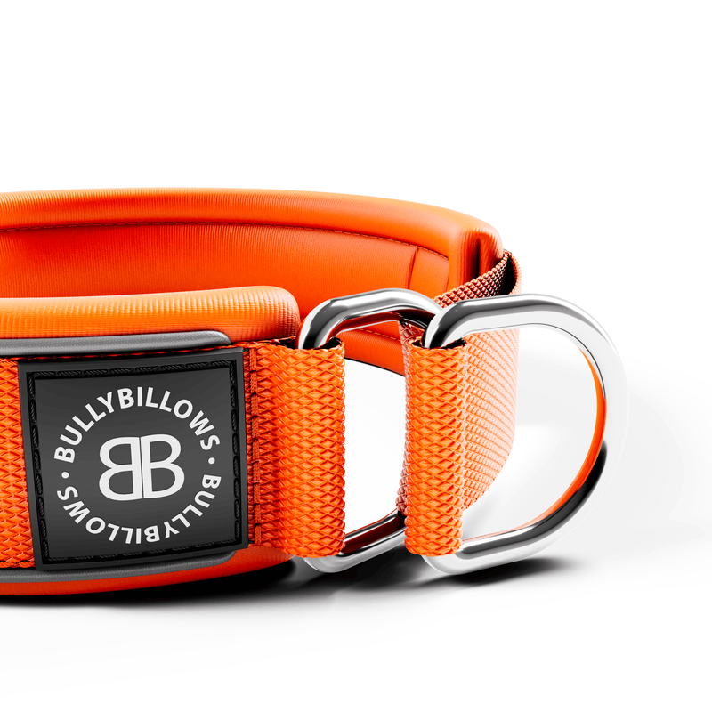 4cm Slip on Collar | Foam Padded - Orange