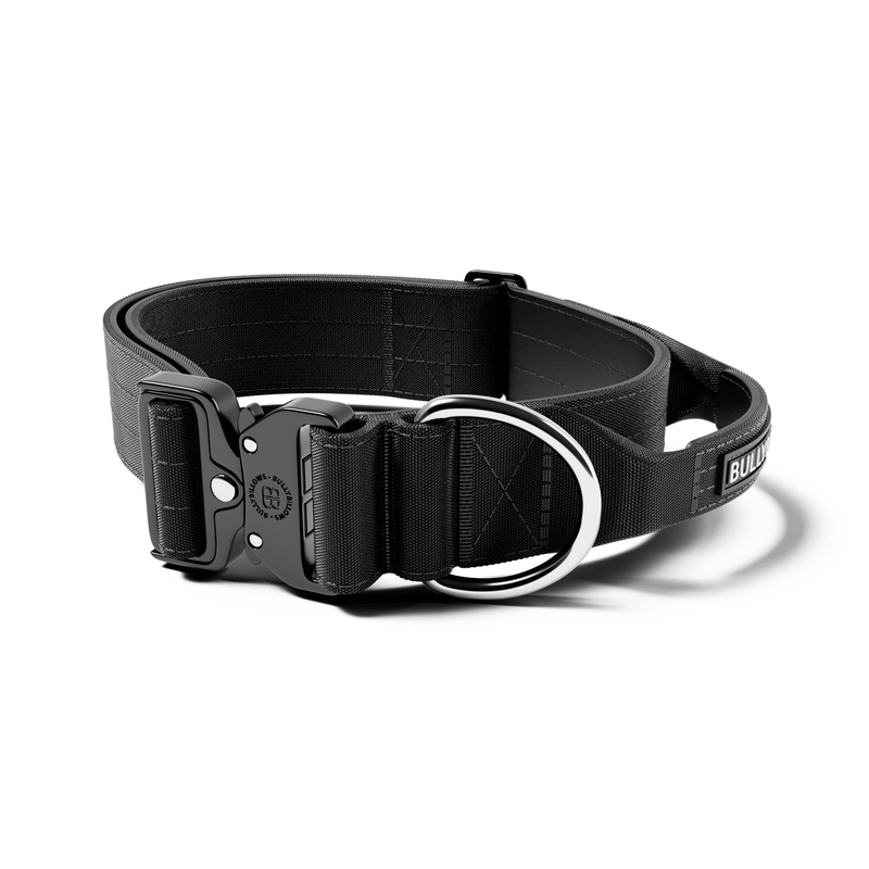 5cm Combat® Collar | With Handle & Secure Clip - Black