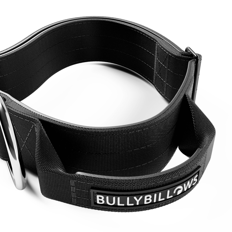 5cm Combat® Collar | With Handle & Secure Clip - Black