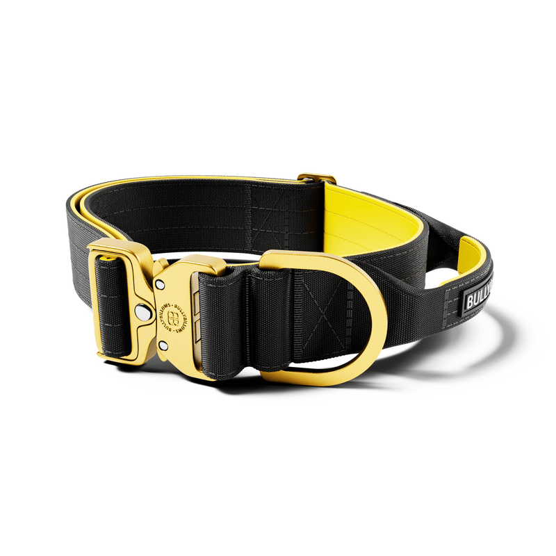 5cm Lighter Combat® Collar | With Handle Secure Clip - Black x Yellow