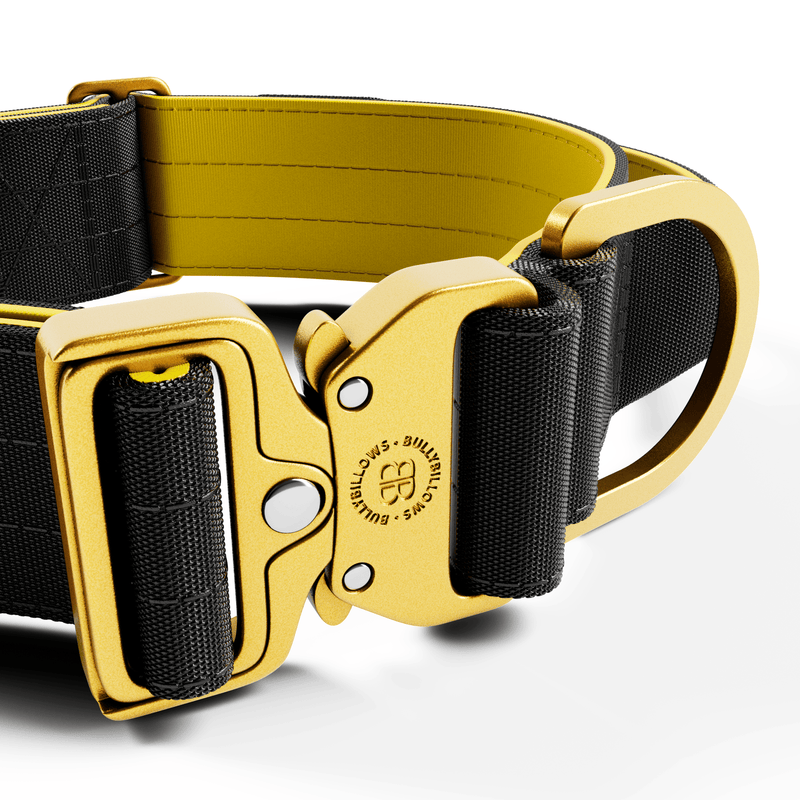 5cm Lighter Combat® Collar | With Handle Secure Clip - Black x Yellow