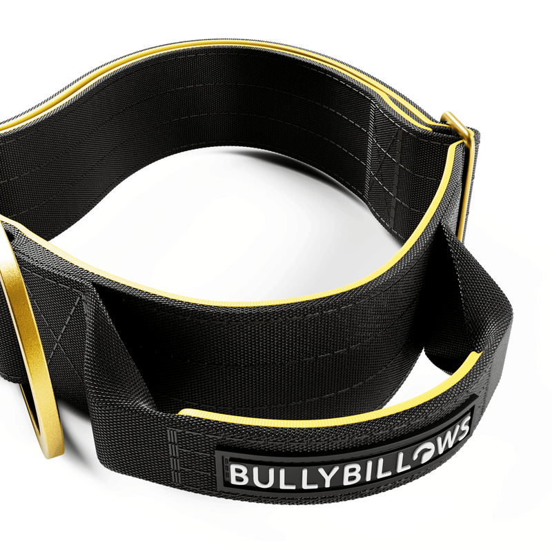 5cm Lighter Combat® Collar | With Handle Secure Clip - Black x Yellow