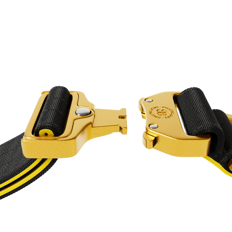 5cm Lighter Combat® Collar | With Handle Secure Clip - Black x Yellow