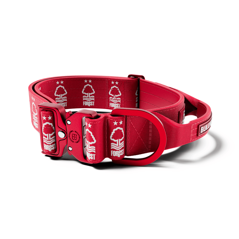 5cm Lighter Combat® Collar | With Handle Secure Clip - Nottingham Forest