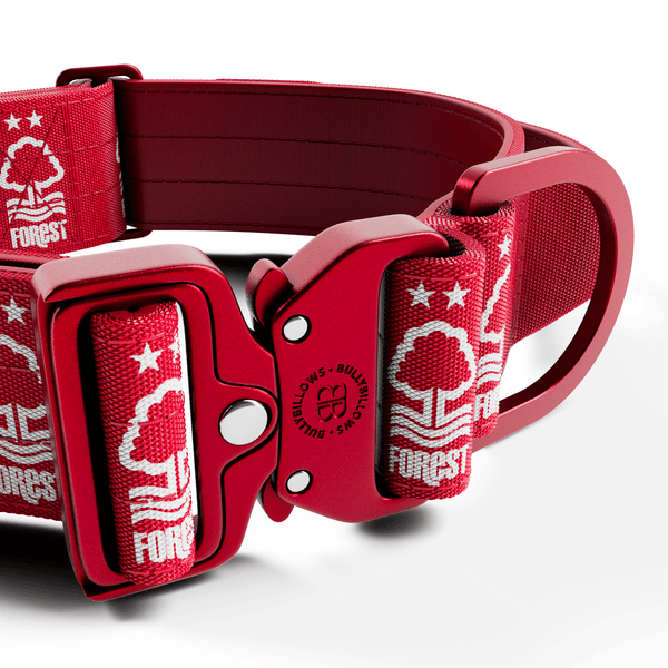 5cm Lighter Combat® Collar | With Handle Secure Clip - Nottingham Forest