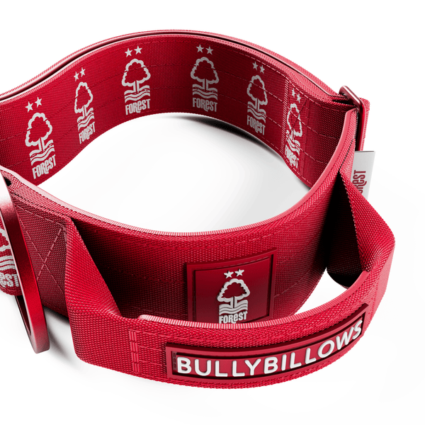 5cm Lighter Combat® Collar | With Handle Secure Clip - Nottingham Forest