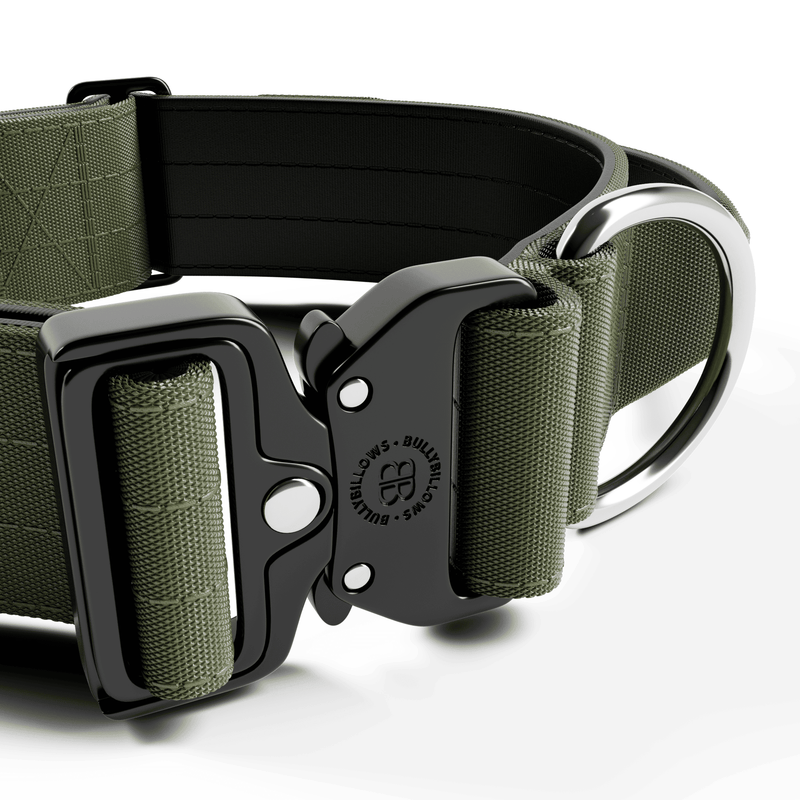 5cm Combat® Collar | With Handle & Secure Clip - Khaki
