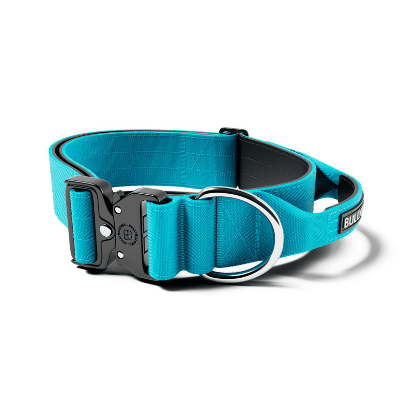5cm Combat® Collar | With Handle & Secure Clip - Light Blue