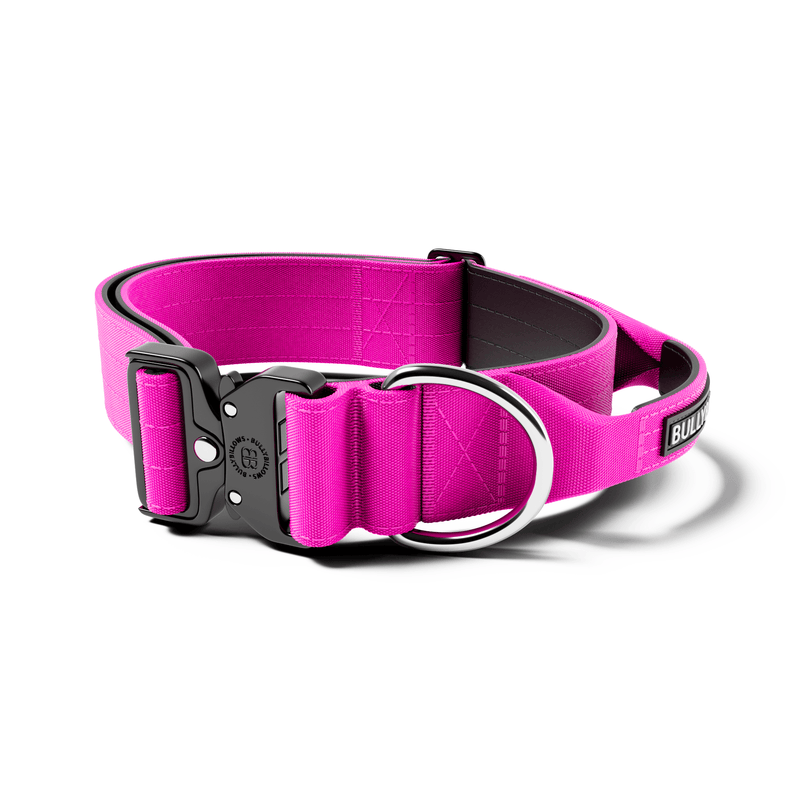 5cm Combat® Collar | With Handle & Secure Clip - Magenta
