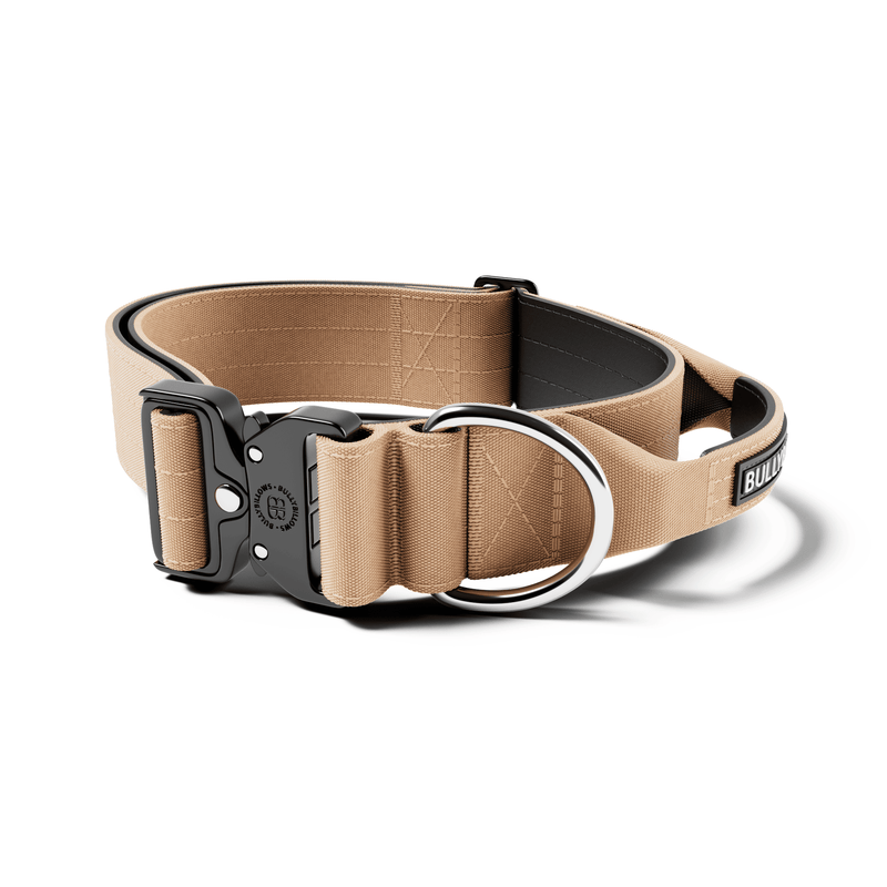 5cm Combat® Collar | With Handle & Secure Clip - Tan