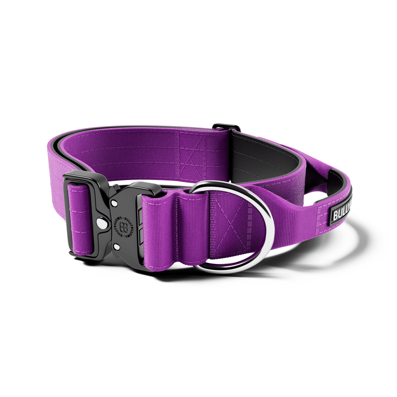 5cm Combat® Collar | With Handle & Secure Clip - Purple