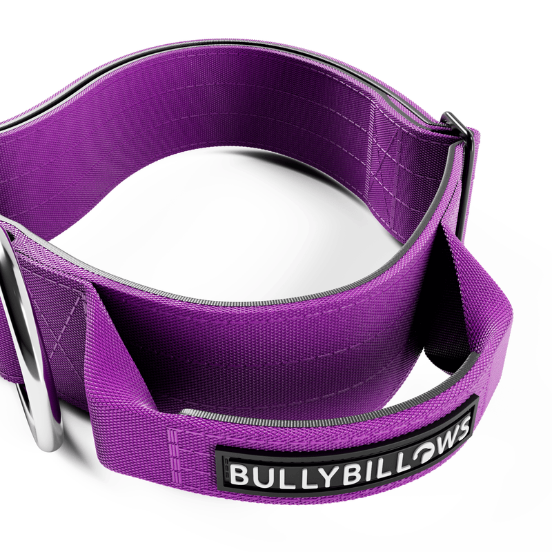 5cm Combat® Collar | With Handle & Secure Clip - Purple