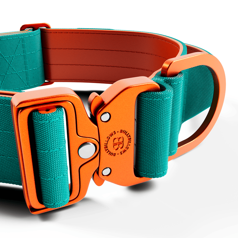 5cm Lighter Combat® Collar | With Handle Secure Clip - Turquoise x Orange