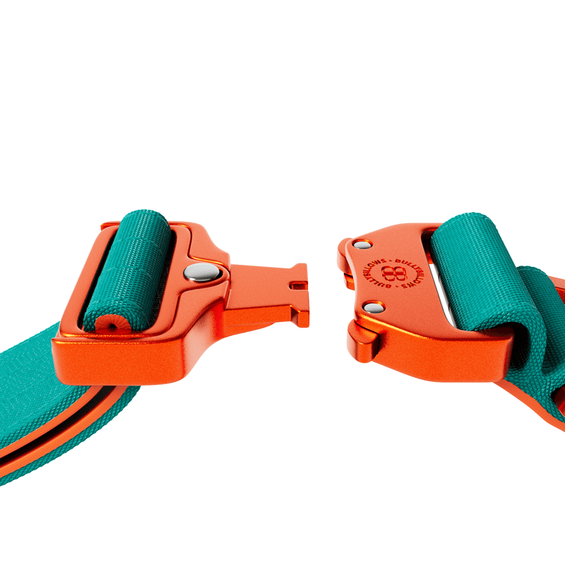 5cm Lighter Combat® Collar | With Handle Secure Clip - Turquoise x Orange