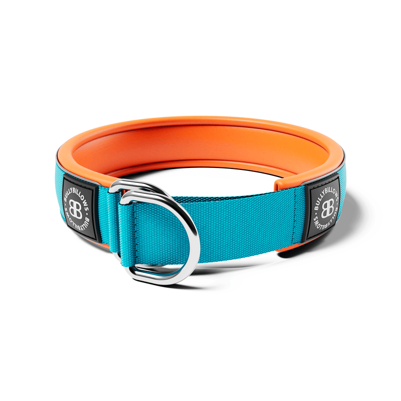 5cm Slip on Collar | Foam Padded - Light Blue x Orange