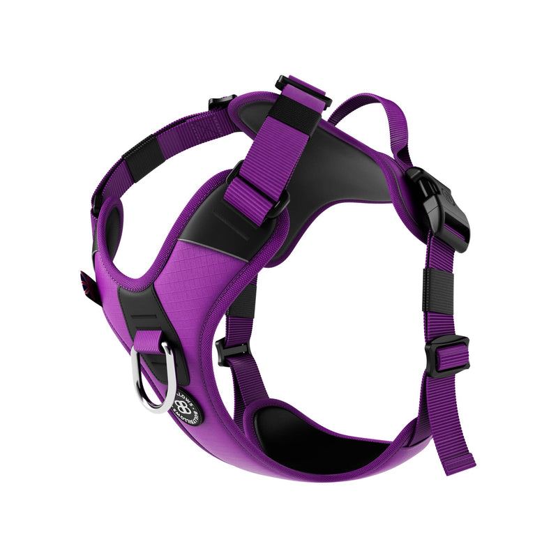Anti Pull Hurricane Harness Lighter | With Handle - Purple