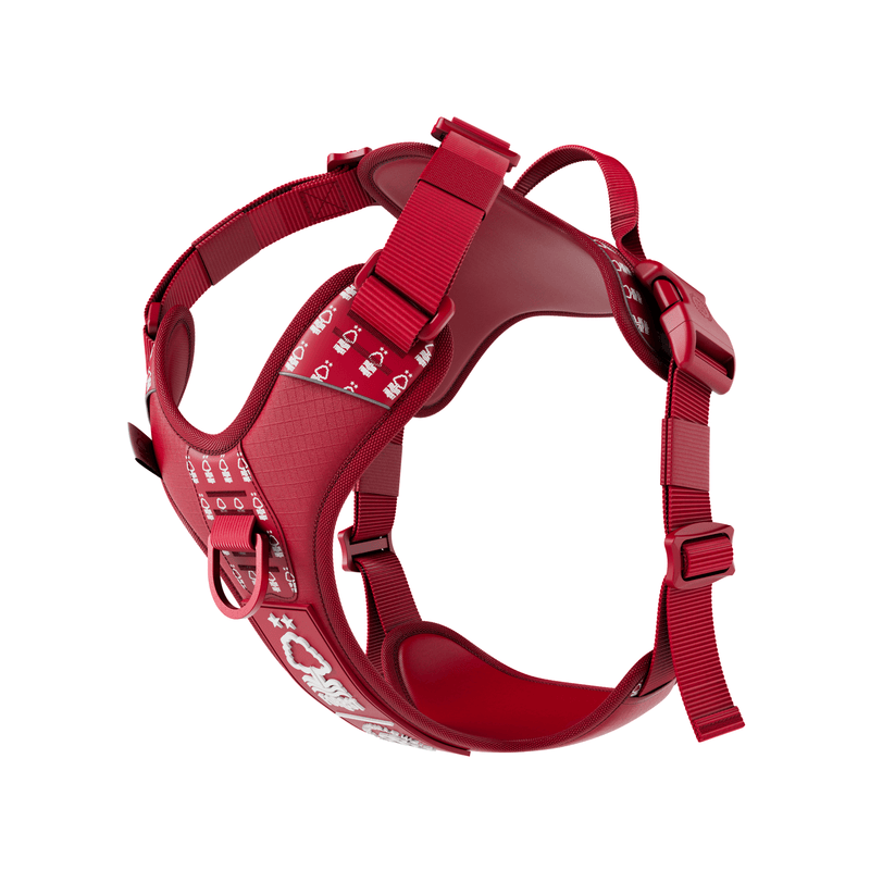 Anti Pull Hurricane Harness - With Handle - Nottingham Forest