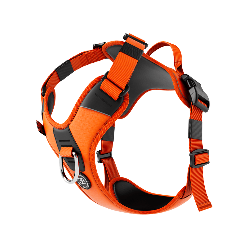 Anti Pull Hurricane Harness Lighter | With Handle - Orange