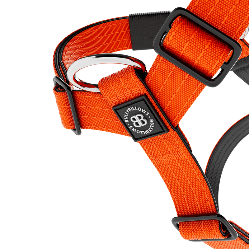 Mini Training Anti Pull TRI-Harness® | Small Breeds - Orange