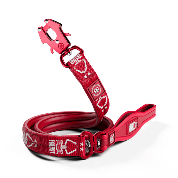 1.2m Lighter Swivel Combat Lead | Anti-Tangle & Secure Clip - Nottingham Forest