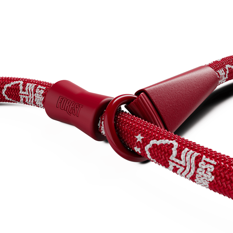 Slip Training Lead | Anti Pull & No Choking -  Nottingham Forest