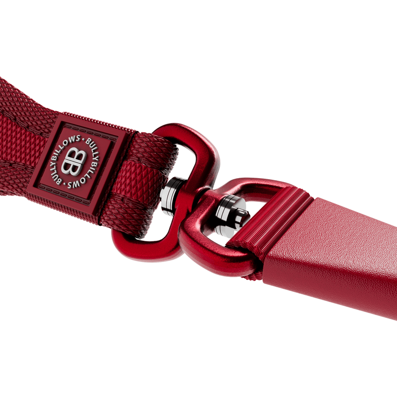 Slip Training Lead | Anti Pull & No Choking -  Nottingham Forest