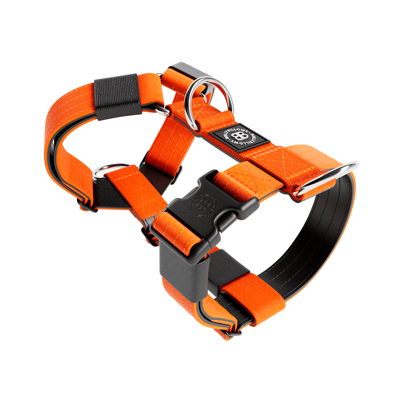 Training Anti Pull TRI-Harness® | M-XL Breeds - Orange