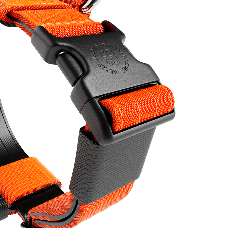Training Anti Pull TRI-Harness® | M-XL Breeds - Orange