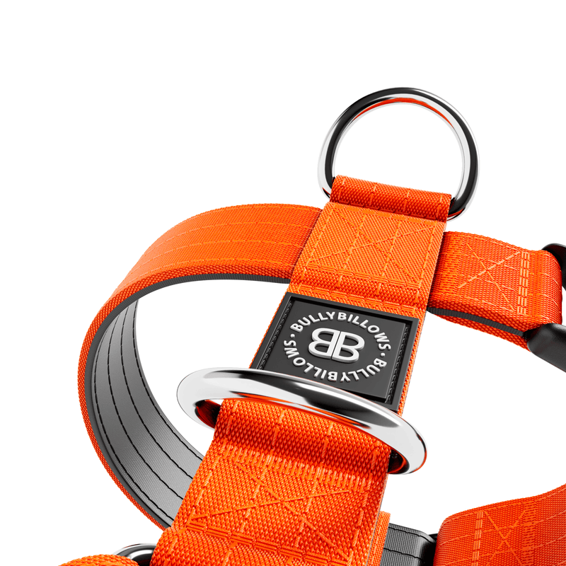Training Anti Pull TRI-Harness® | M-XL Breeds - Orange