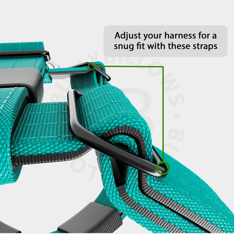 Training Anti Pull TRI-Harness® | M-XL Breeds - Turquoise