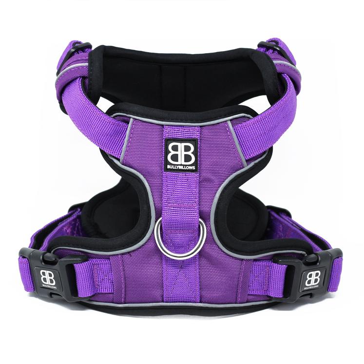 Dog Harness - Do's and Don'ts