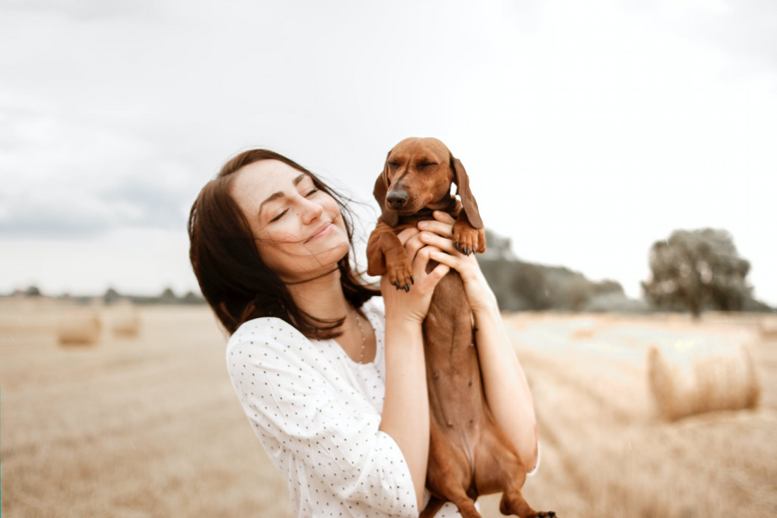 8 Simple Ways to Keep Your Dog Smelling Fresh and Wonderful