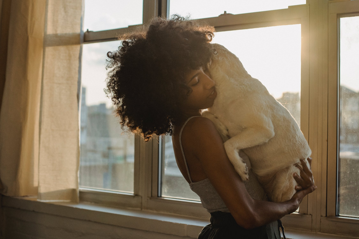 Dog Pregnancy - Things You Should Know and Care About!