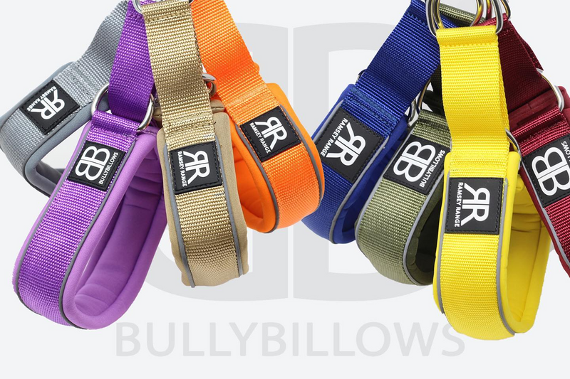 Simple Tips to Measure Dog Collar Size