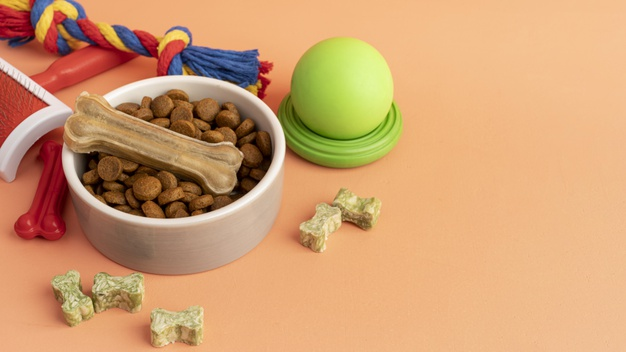 How to Take Care of Your Dog’s Digestion and Gut Health?