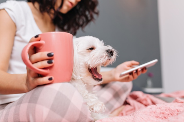 5 Dog Care Mistakes You Should Avoid