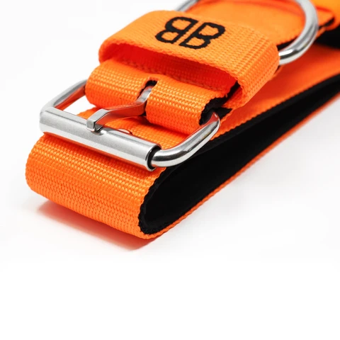 3 Reasons To Purchase Nylon Dog Collars or Leads