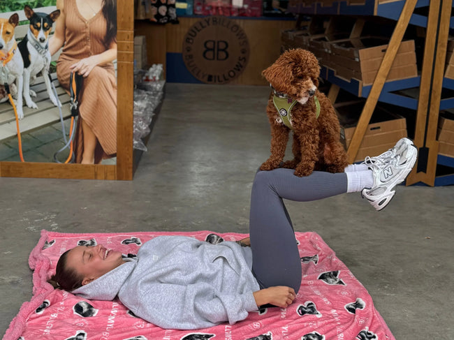 🧘 Doga: Yoga for You & Your Dog (Without the Chaos)