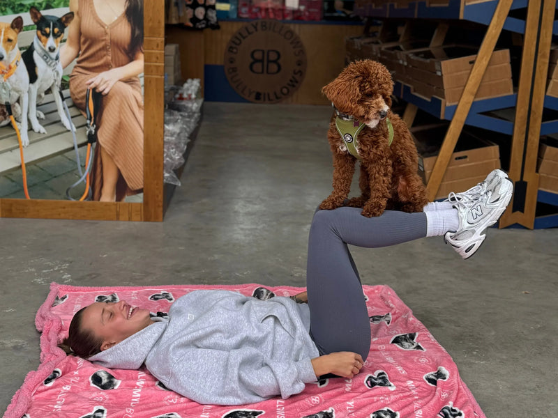 🧘 Doga: Yoga for You & Your Dog (Without the Chaos)