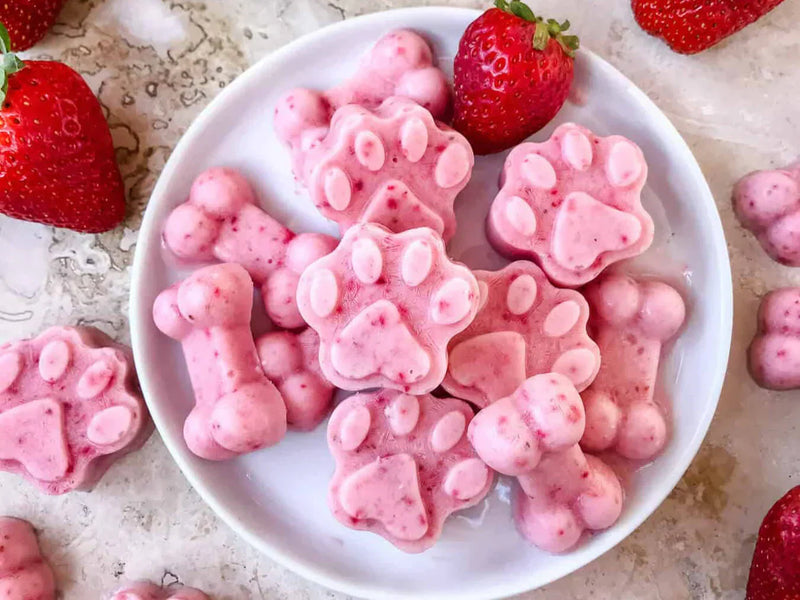 DIY Frozen Dog Treats