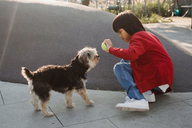 Top 3 Benefits of Dogs on Children with Special Needs