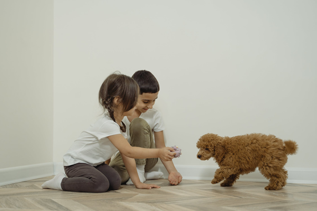 Preparing Dogs for Visitors - Dos and Don’ts