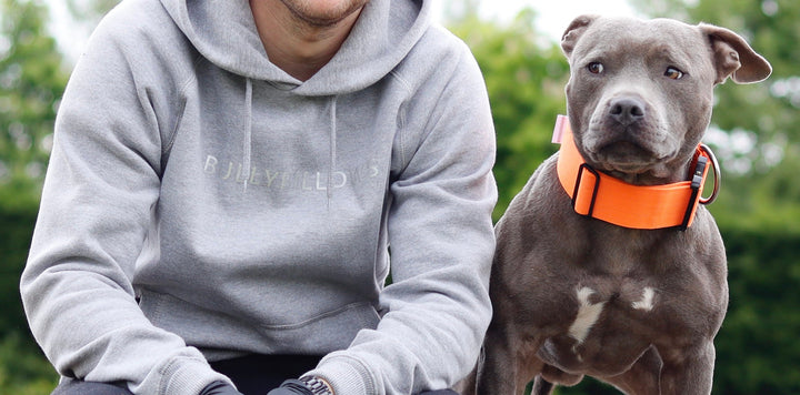 Four Dog Training Mistakes to Avoid