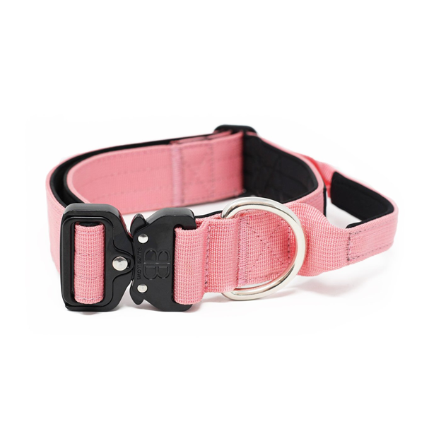 The Lesser-known History of Dog collars