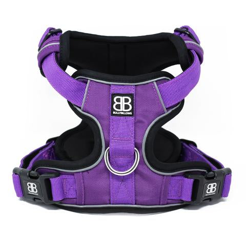 Dog Harnesses - Overview and Common Types
